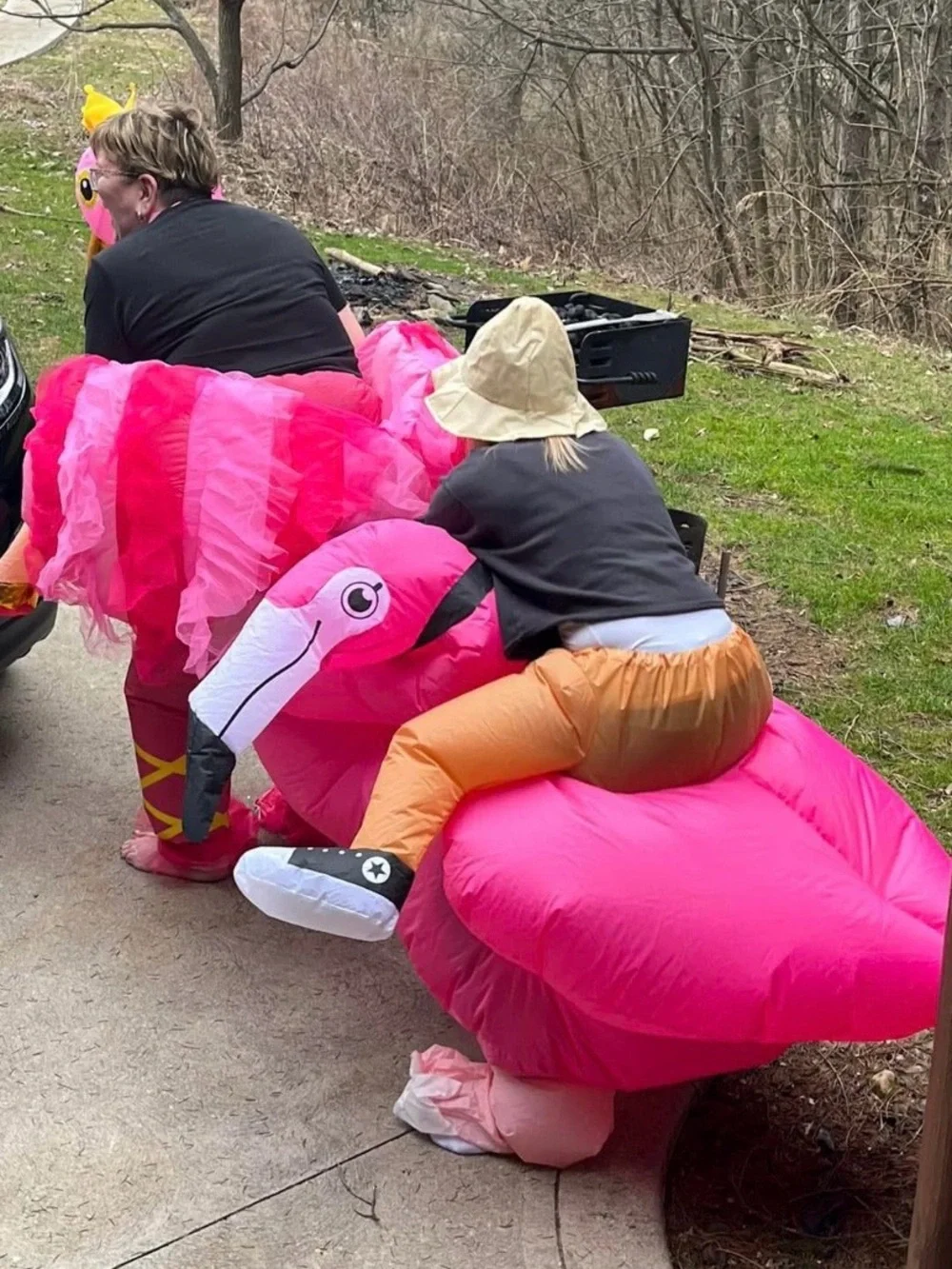 Adult Inflatable Pink Flamingo Costumes